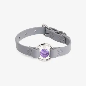 All Eyes On Me Dog Collar Sea Lavender/Chevron Amethyst