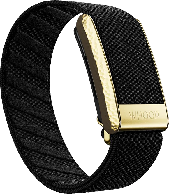 Onyx with Hammered Gold Luxe Band